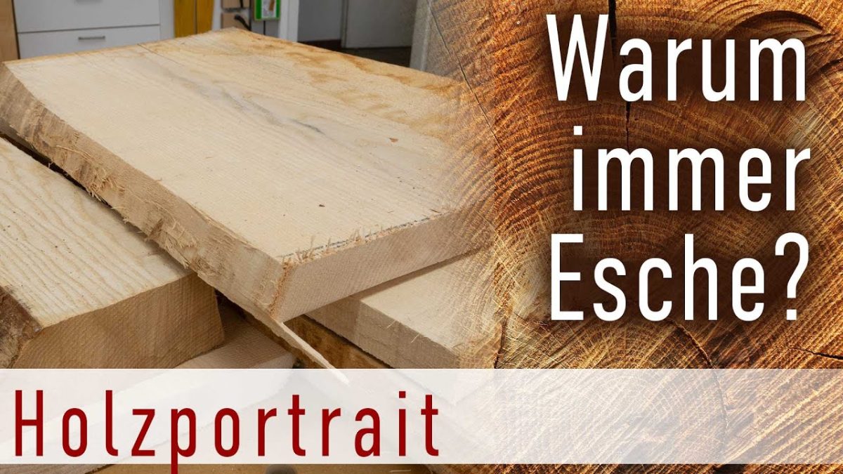 Esche kurz vorgestellt – ein tolles Holz, dass es vielleicht bald nicht mehr so einfach gibt.